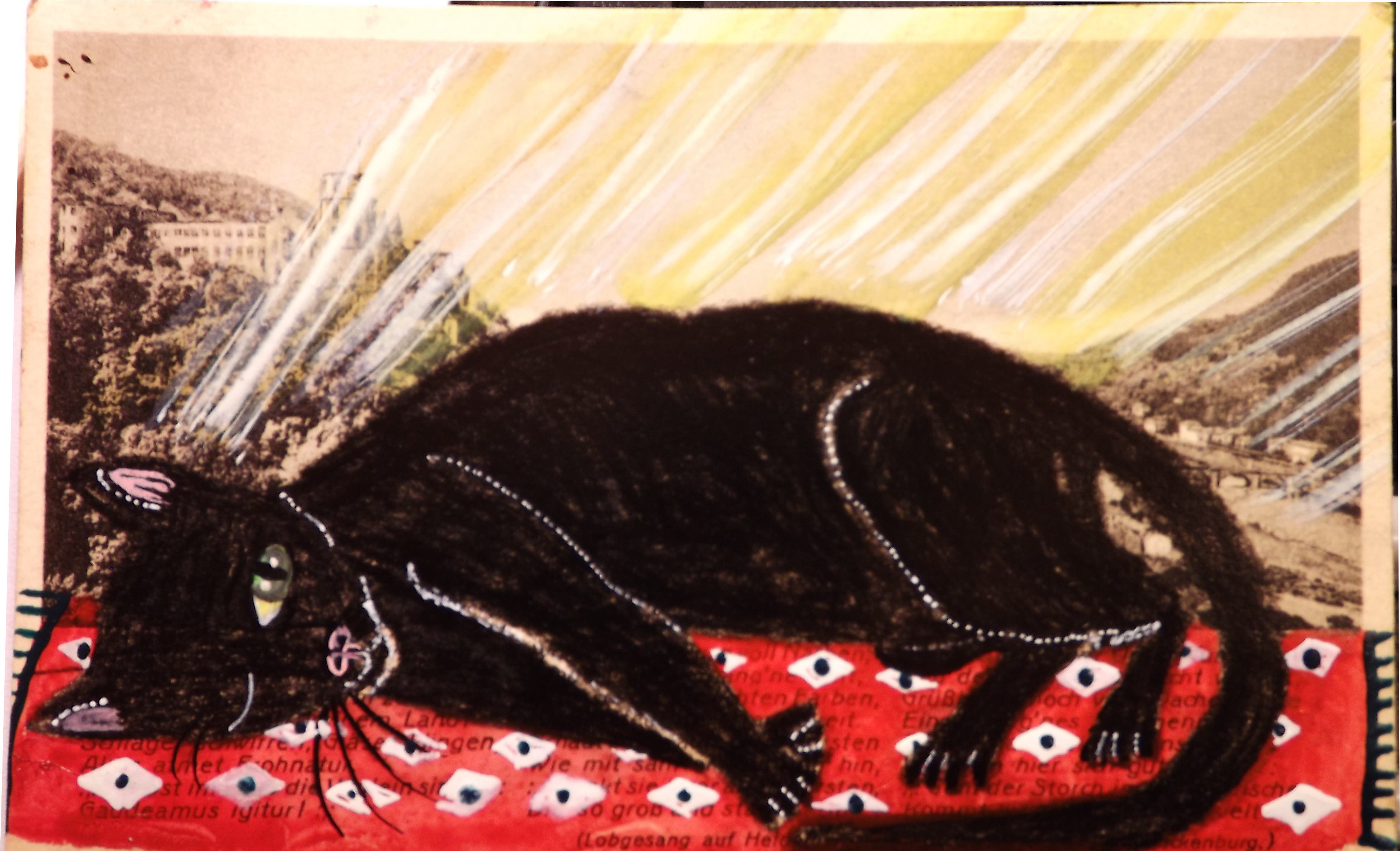 THe Cat Who Slept in the Sun on a Red Rug – Cats of May Series